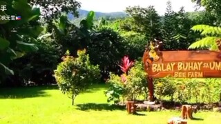 少說多做，句句都會得到別人的重視；多說少做，句句都會受到別人的忽視。培植一個人要千句的讚美鼓勵話語，毀滅一個人只要一句不經心的話...所以我們說話，請多注意口下留情。