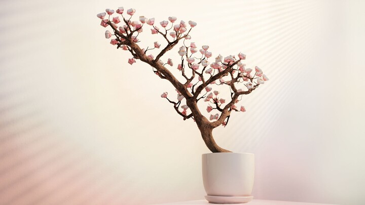 Dynamic video | We made a flower pot with memory metal...