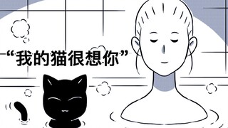 我的猫很想你