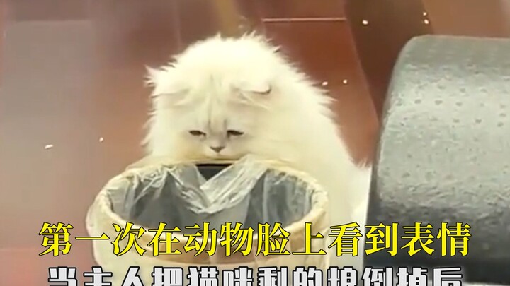 For the first time, I’ve seen such a vivid expression on an animal’s face.
