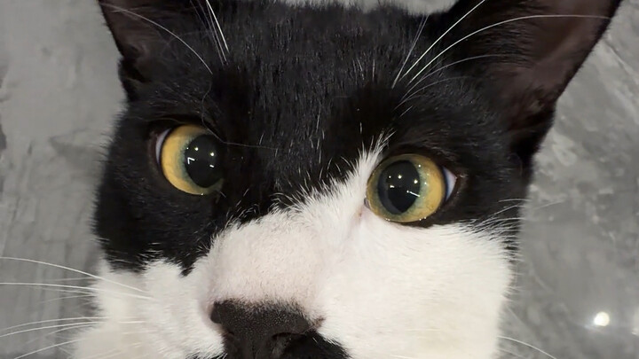 يا جماعة، هل تصدقونني إذا قلت إن المشكلة ليست مني؟