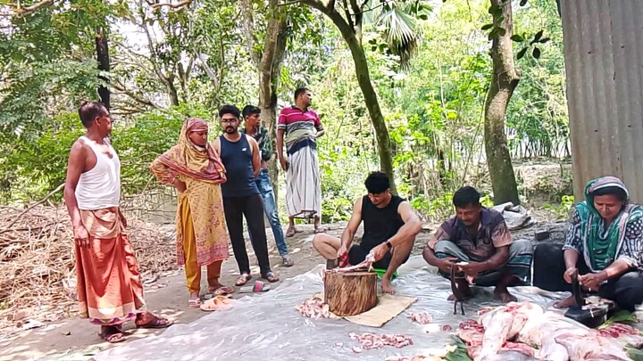 কোরবানির গরু