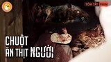 Chuột "Quỷ" Ăn Thịt Người - Chỉ Coi Mèo Như Đồ Ăn Vặt |Quạc Review Phim|