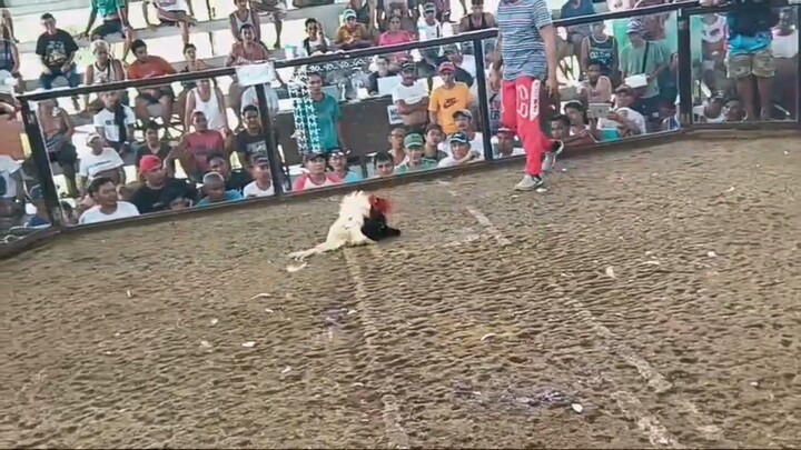 Mayahin dehadong dehado