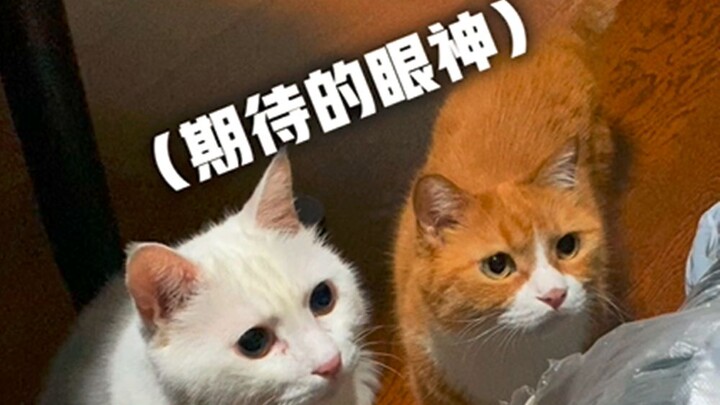 When eating food is discovered by two little gluttons...