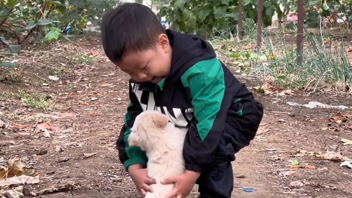 A little kid meets a tiny puppy and carefully chooses the most deadly way to pick it up!
