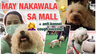 Vlogmas Day 10 | ANTI KENNEL COUGH VACCINE + FIRST TIME GALA SA SM | Anong lasa ng dog treats? 😂