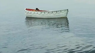 رحلة مغامرة بحرية بين الصبي والنمر.