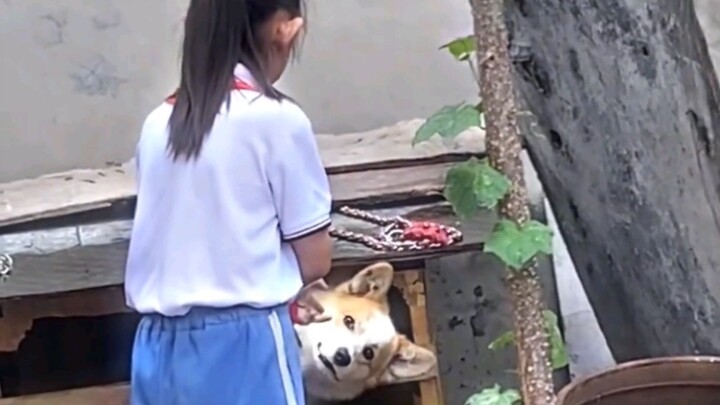 Adegan kocak para bayi manusia, satu sama lain nggak kalah lucu!