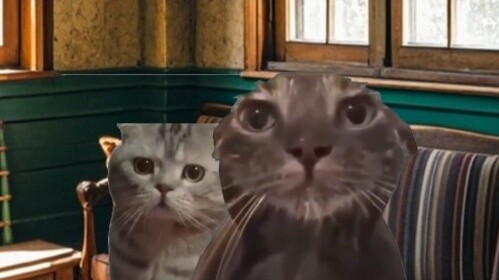 Gánh nặng của mẹ chắc hẳn rất nặng nề #catmeme #catmemetheater #childhoodmemories #truerestore