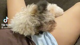 dog is D_best😋💦💦