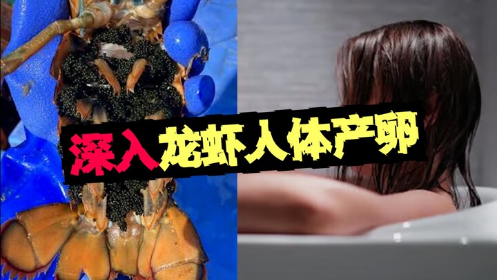 【Perempuan Udang Lobster】Seorang perempuan tewas karena bermain-main dengan udang lobster; inilah pe