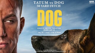 Dog 2022 Full Movie HD