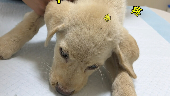 لو كنت أعلم أنها مؤلمة إلى هذا الحد، لكنت حتمًا حملتها بين ذراعيّ.