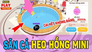 PLAY TOGETHER | HÀNH TRÌNH SĂN CÁ HEO HỒNG MINI | CÂU CÁ HEO HỒNG PLAY TOGETHER | NAPU