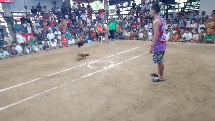 august 25. nakachamba nanaman ang kawali lines😅