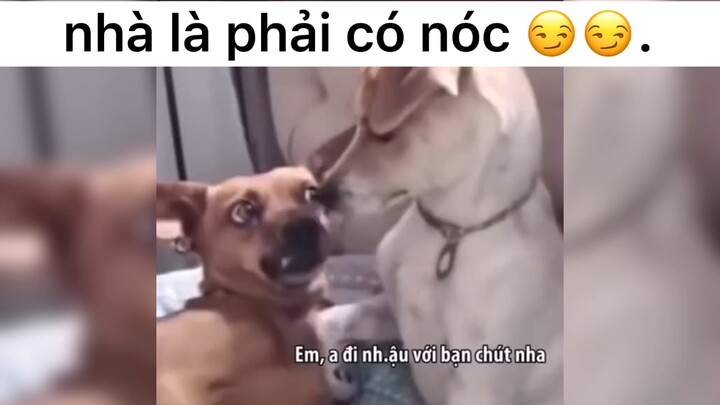 nhà là phải có nóc nhá #haihuoc