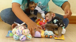 Baby Monkey | Adorable Little Maki and Baby Maku Surprise A lot Of Toys With His Mom