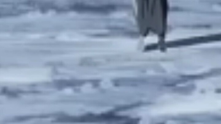 hijau banget naruto