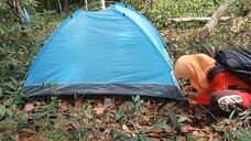 solo camping di hutan sambil menikmati kacang bubur