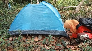 solo camping di hutan sambil menikmati kacang bubur