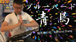 Độc tấu saxophone "ブﾙｰバｰド" Bài hát chủ đề Naruto "Chim xanh"