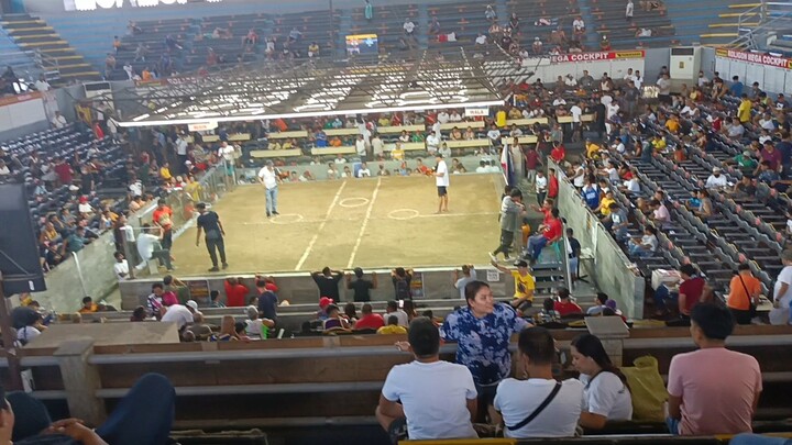 roligon mega cockpit unang lbn