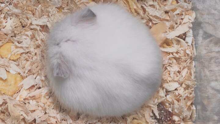 Found a round thing at the subway station