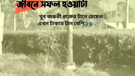 জীবনে সফল হওয়াটা জরুরি