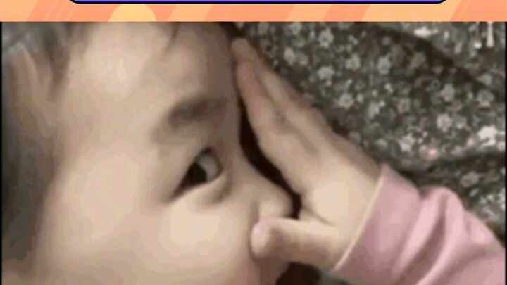 Thỏ: Nói đi, nhìn tớ làm gì vậy?