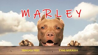 MARLEY | Tyas Mirasih, Tengku Tezi, Chika Waode, Aden bajaj, Emmi Lemu