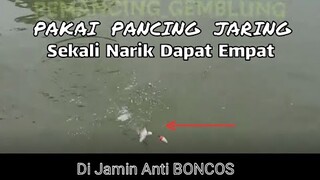 Mancing ikan pakai pancing jaring sekali narik dapat empat || Pancing jaring - Spring bomb net