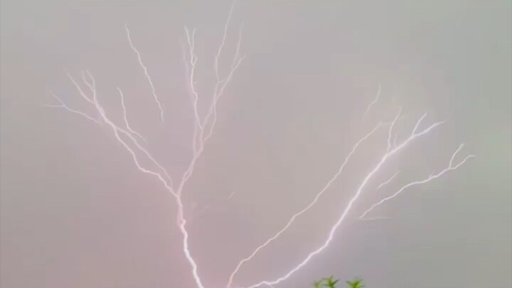 “Nature’s Power ⚡”“Lightning in the Sky 🌩️”“Amazing Lightning ⚡🔥”