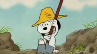 劳动小狗最光荣！