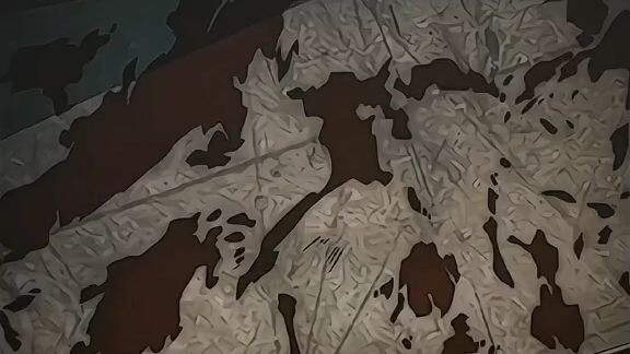 chainsawman, anime baru...