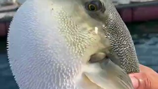 Good thing you ran into me, otherwise I would have just let you go.