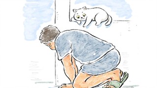 猫：自己选的铲屎官能怎么办呢，只能宠着啊！