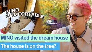 MINO visited the dream house. There's a house in the middle of the forest?