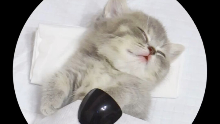 Cô nàng làm sushi bảo muốn làm một bộ nail phong cách Nhật Bản tự nhiên, tốt nhất là kiểu mà các anh