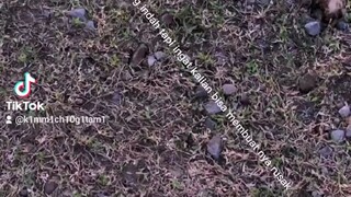 ketika lo sadar bahwa alam bisa rusak kalo kita ngotorin jalan kota desa dll