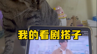 My little drama-binging buddy, Guan Sanjia—she seems even more addicted to binge-watching than I am!