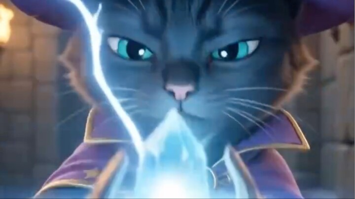 Cat D n D 1