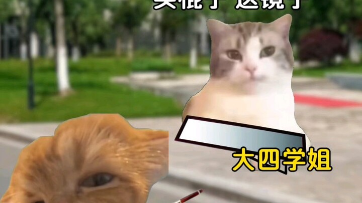 我勒个梦中情棍，谁能拒绝？