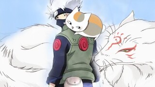 【声优都是怪物】自己召唤自己，卡卡西通灵之术猫咪老师，CV井上和彦