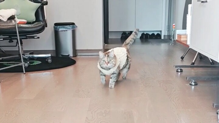 Mom said she really loves how I run toward her.