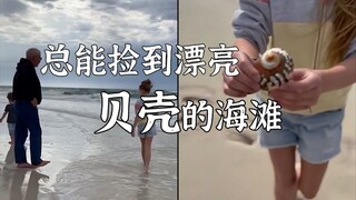 小时候去捡贝壳的海滩，原来藏着爸爸几十年的秘密...