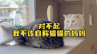 I'm sorry I shouldn't have called myself the cat's mother and caused trouble for everyone. I'm sorry