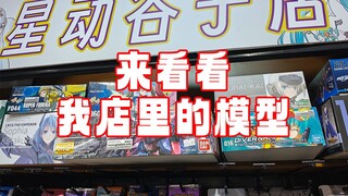 来看看我店里（卖不出去）的模型们！