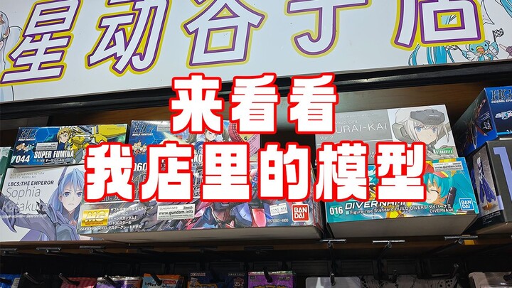 来看看我店里（卖不出去）的模型们！