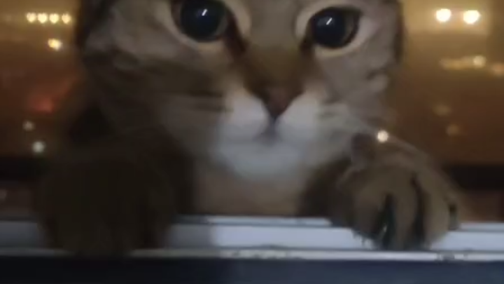 เอ่อ เอ่อ เอ่อ เอ่อ เอ่อ เอ่อ เอ่อ เอ่อ เอ่อ เอ่อ เอ่อ